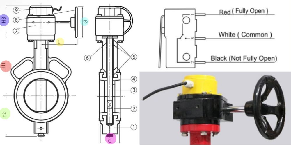 Van-buom-tin-hieu-dien-shinyi-4