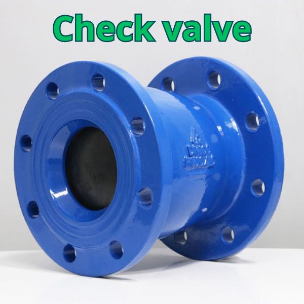 check valve là gì