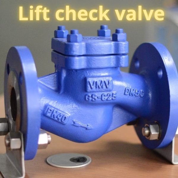 lift check valve