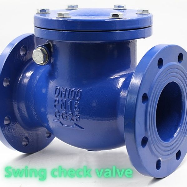 swing check valve