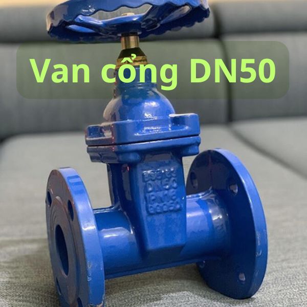 van cổng DN50