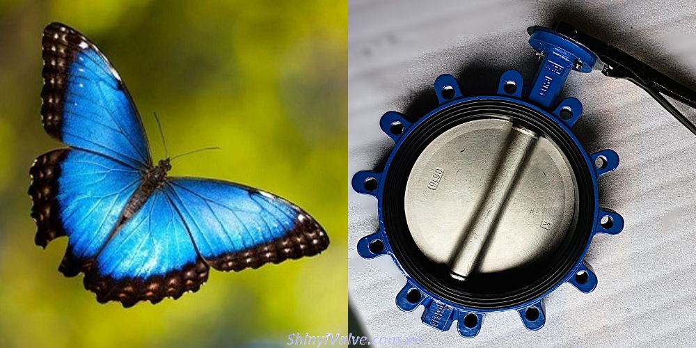 butterfly valve là gì