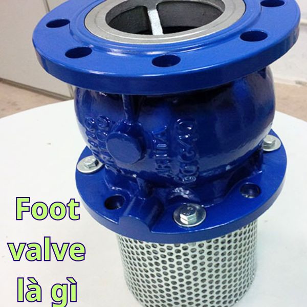 foot valve là gì