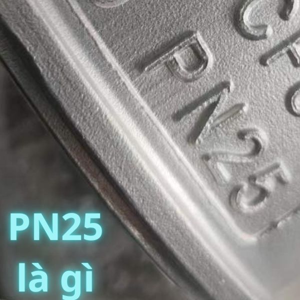 pn25 là gì