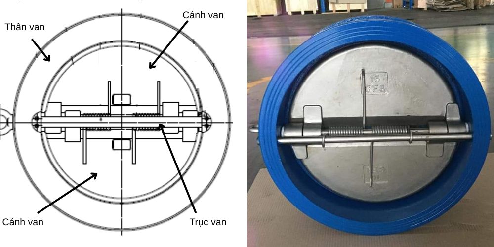 van 1 chiều cánh bướm