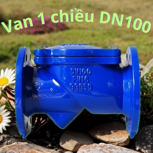 van 1 chiều dn100