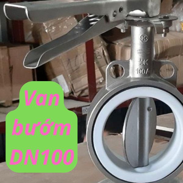 van bướm dn100