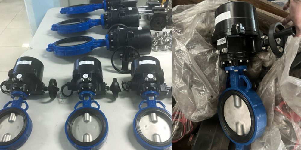 van bướm động cơ điện shinyi