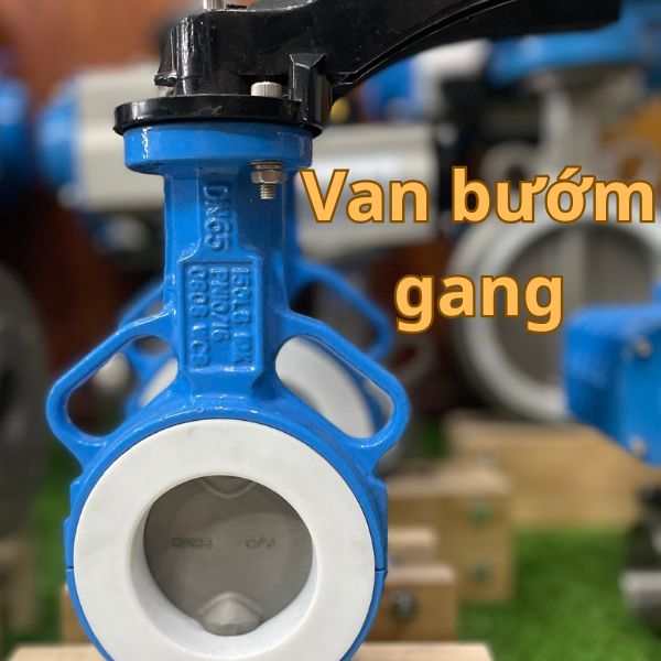 van bướm gang