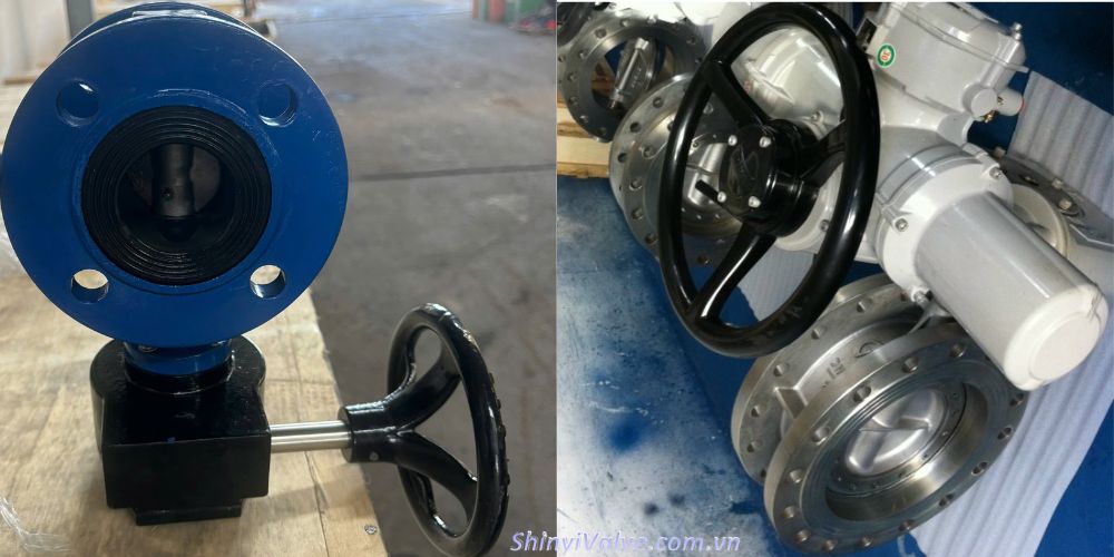 Van bướm mặt bích