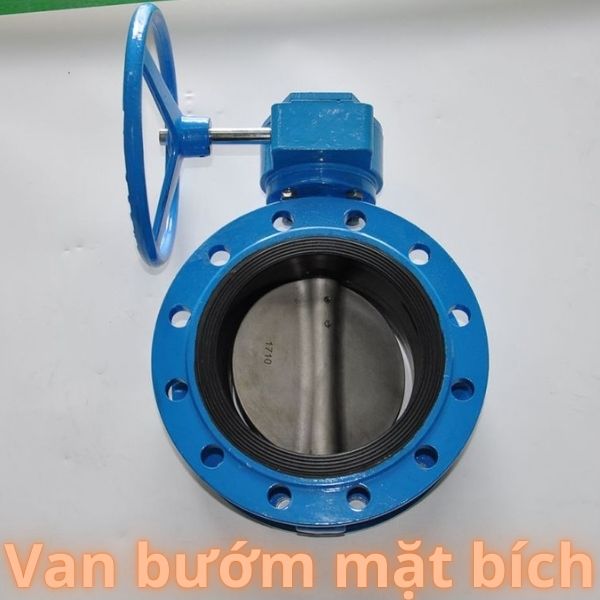 Van bướm mặt bích