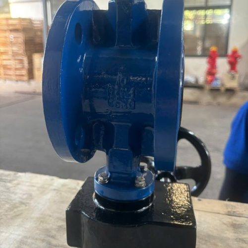 van bướm mặt bích shinyi