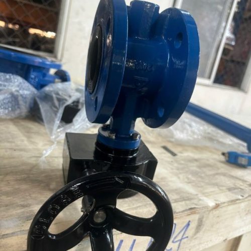 van bướm mặt bích shinyi