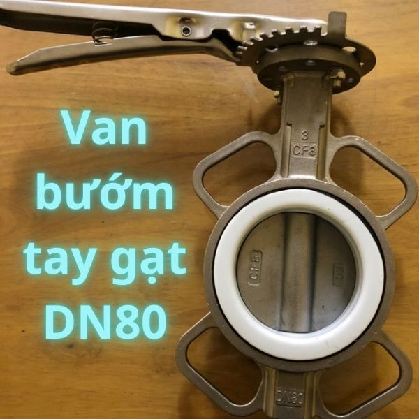 van bướm tay gạt dn80