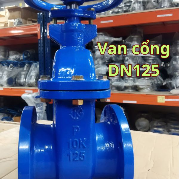 van cổng dn125