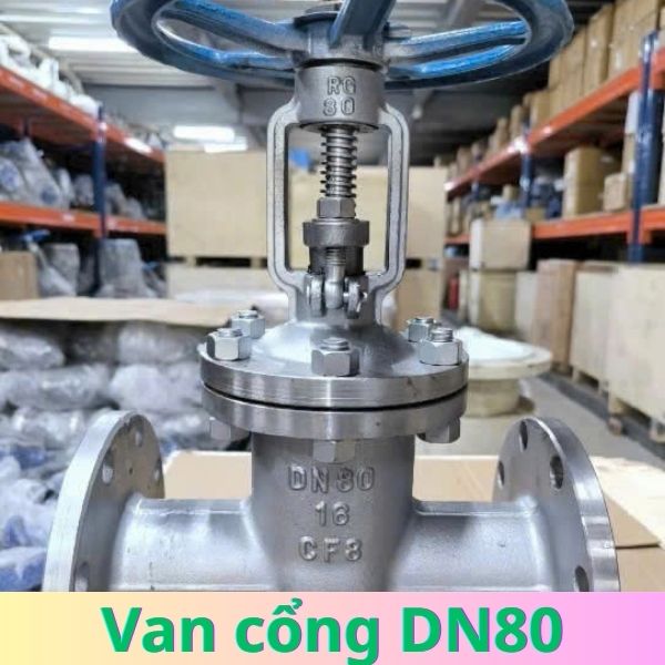 van cổng dn80