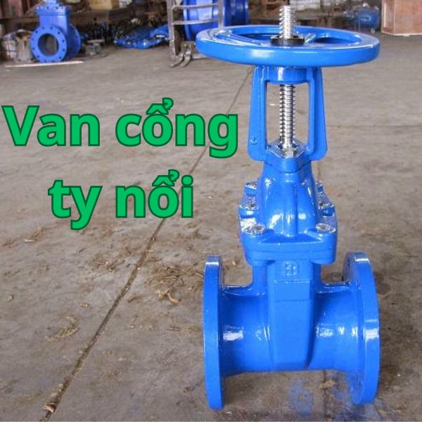 van cổng ty nổi