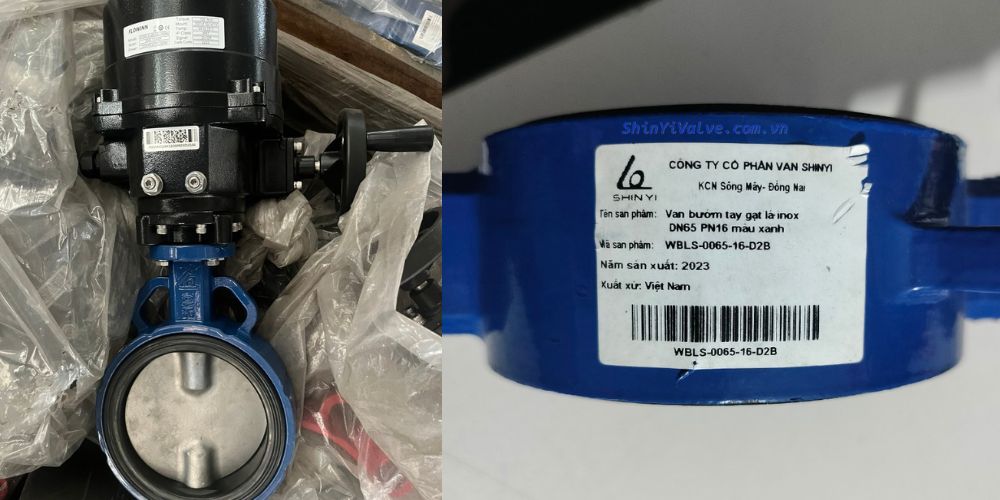 van shinyi của nước nào