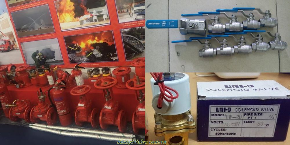 van shinyi của nước nào