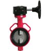 shinyi WBGS DN100 01