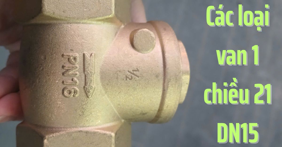 các loại van 1 chiều 21 dn15