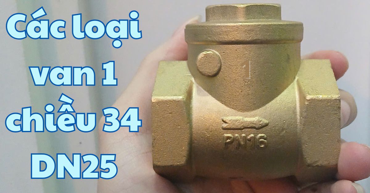 các loại van 1 chiều 34 dn25