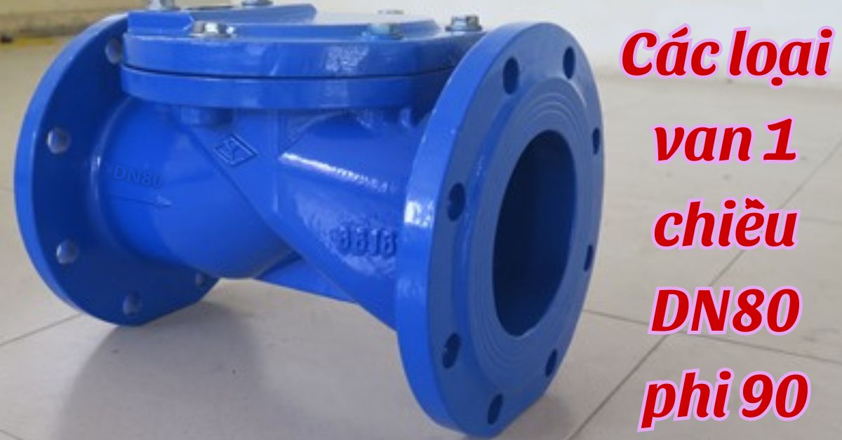 các loại van 1 chiều dn80 phi 90