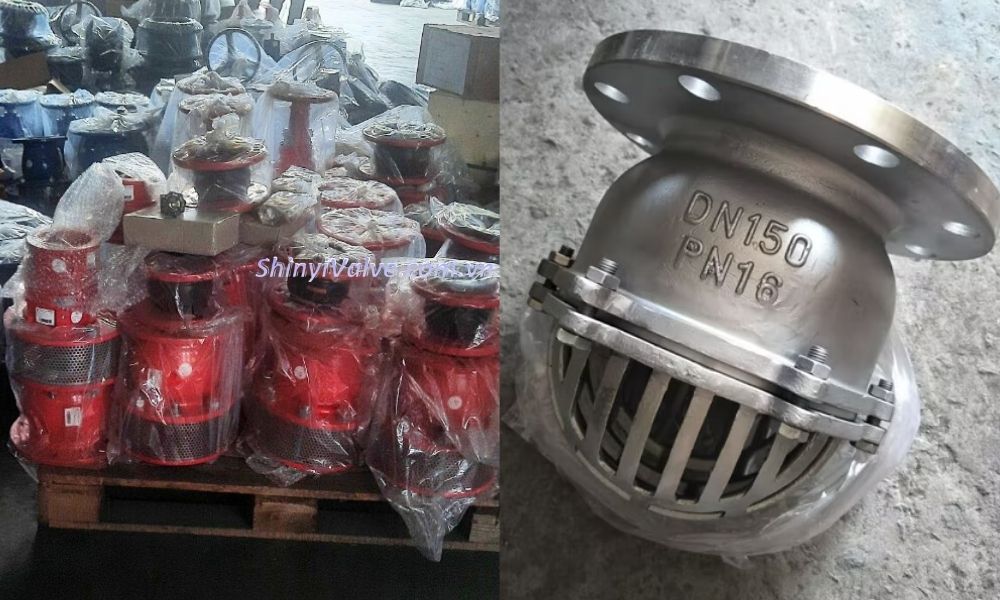 câu hỏi rọ hút dn150