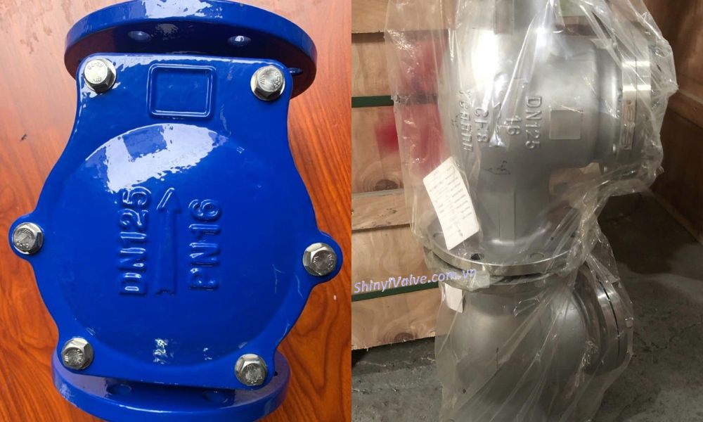 chọn van 1 chiều lá lật dn125