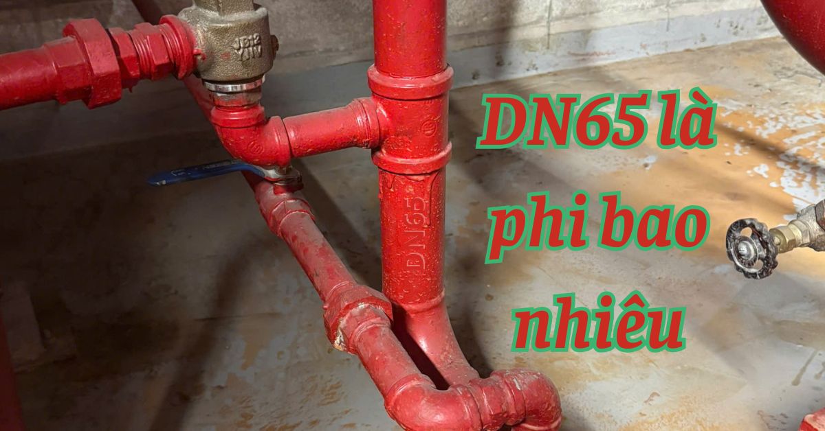 dn65 là phi bao nhiêu