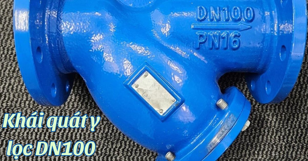 khái quát y lọc dn100