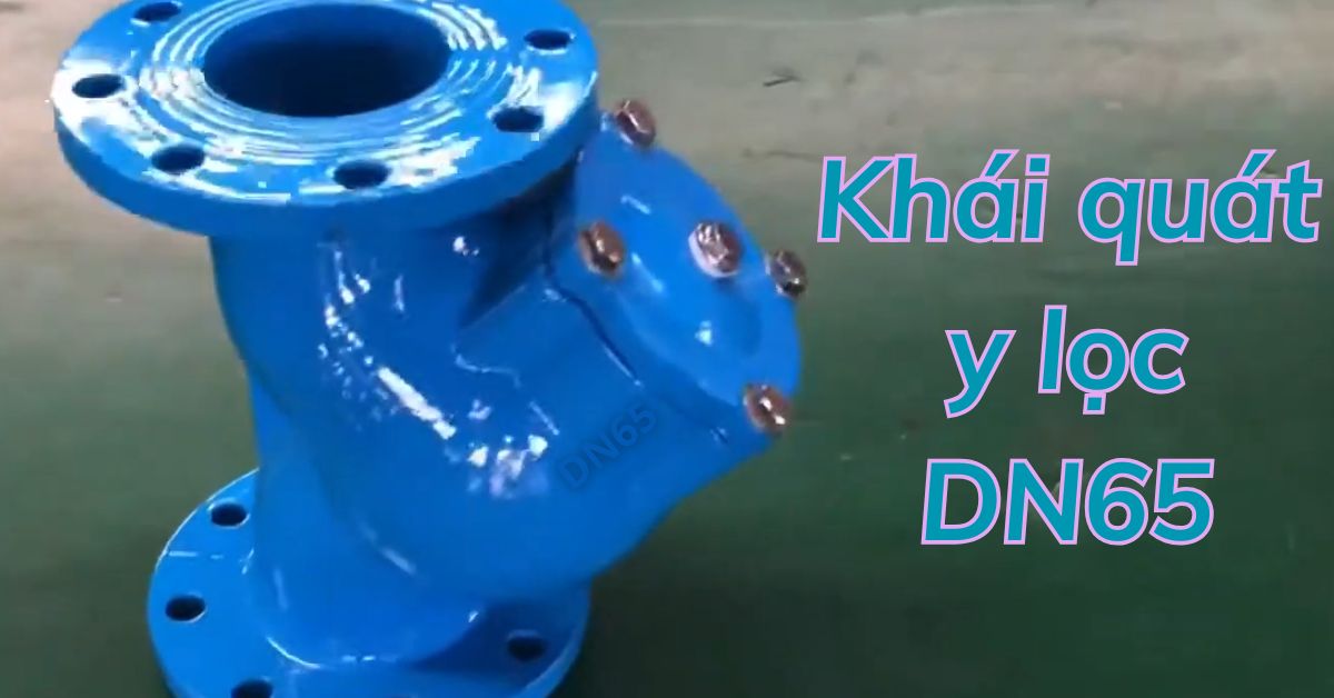 khái niệm y lọc dn65