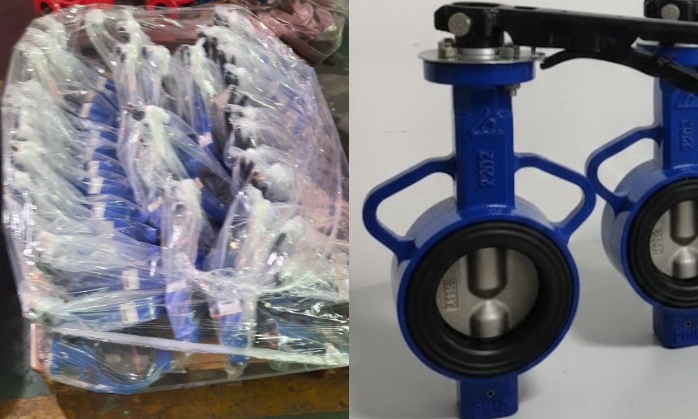 kho van bướm shinyi WBLS DN80