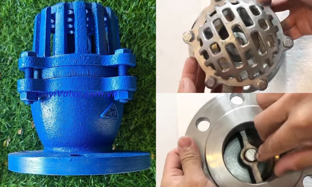 luppe đĩa trọng lực