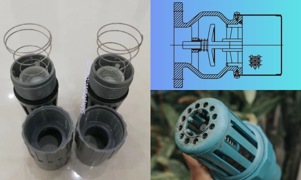 luppe một chiều lò xo bộ phận lò xo