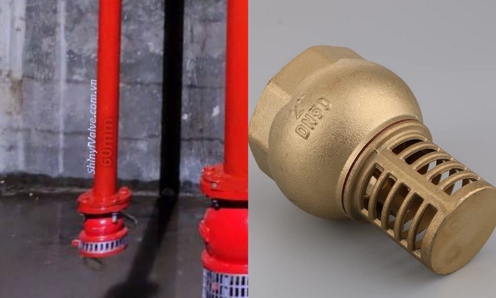 rọ hút d50 kích thước ống