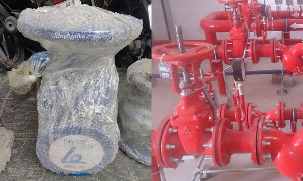 tại sao lưu ý dn125 là phi bao nhiêu