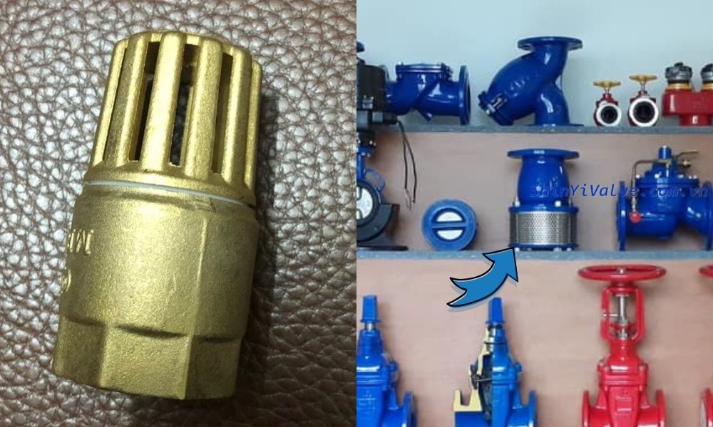 tên gọi khác luppe