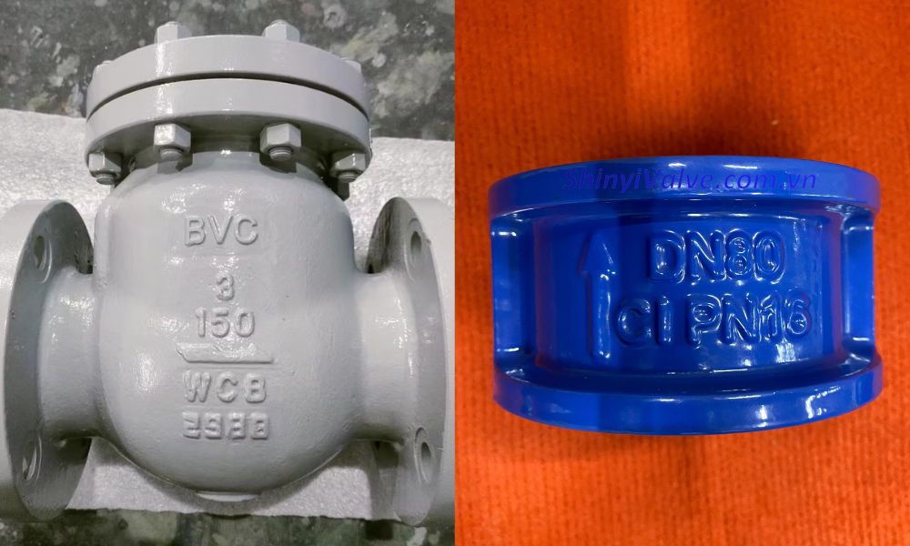 thông tin thân van 1 chiều dn80