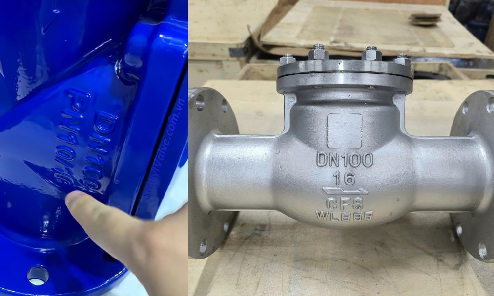 thông tin thân van 1 chiều lá lật dn100