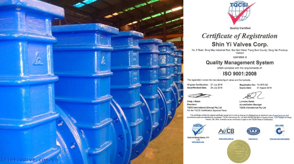 tiêu chuẩn van shinyi là gì