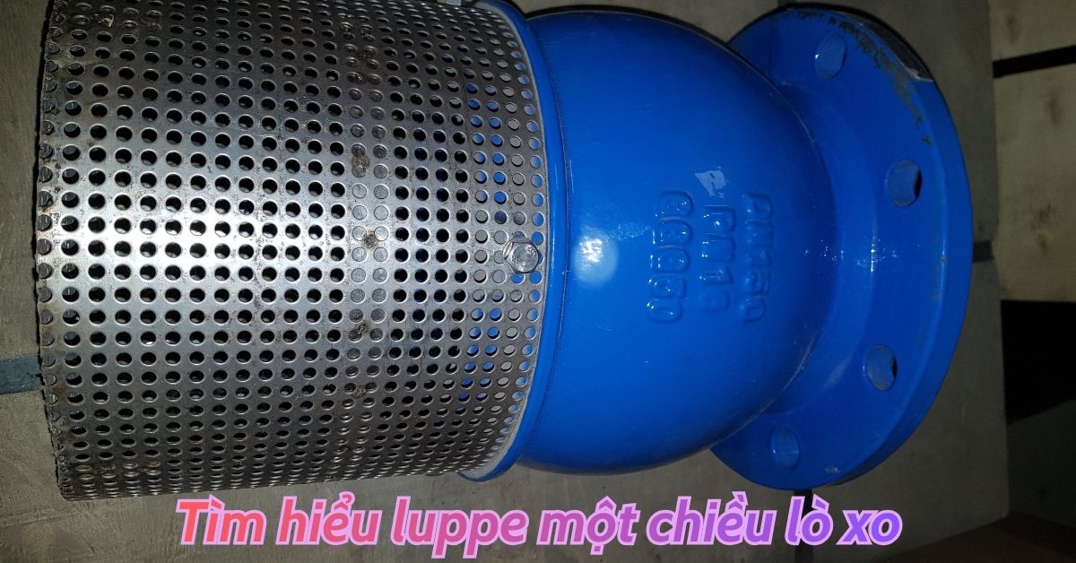 tìm hiểu luppe một chiều lò xo