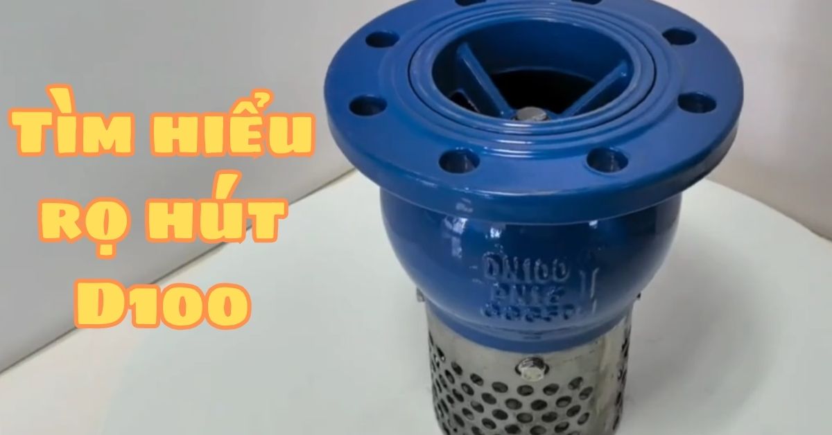 tìm hiểu rọ hút d100