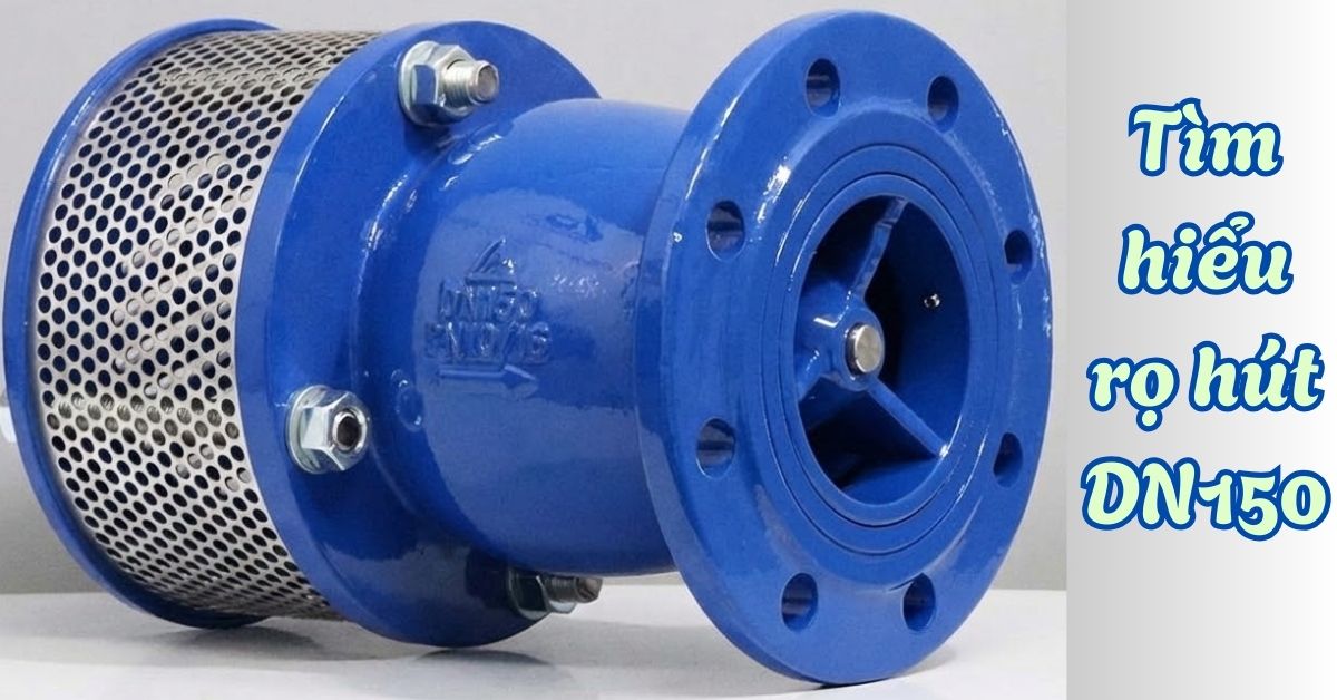 tìm hiểu rọ hút dn150