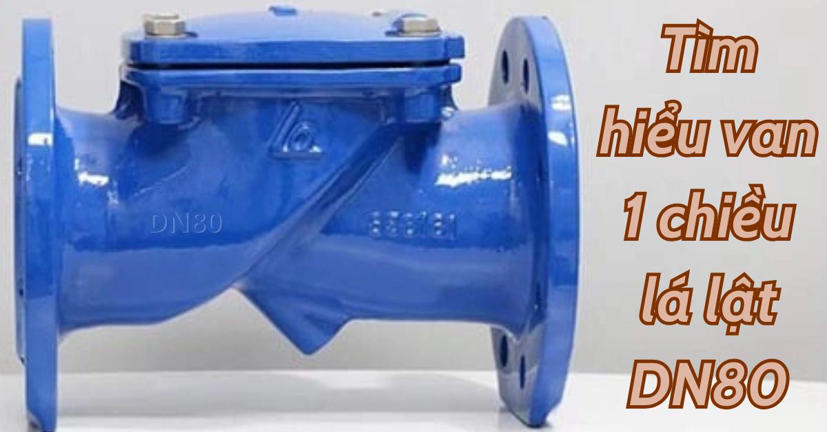 tìm hiểu van 1 chiều lá lật dn80