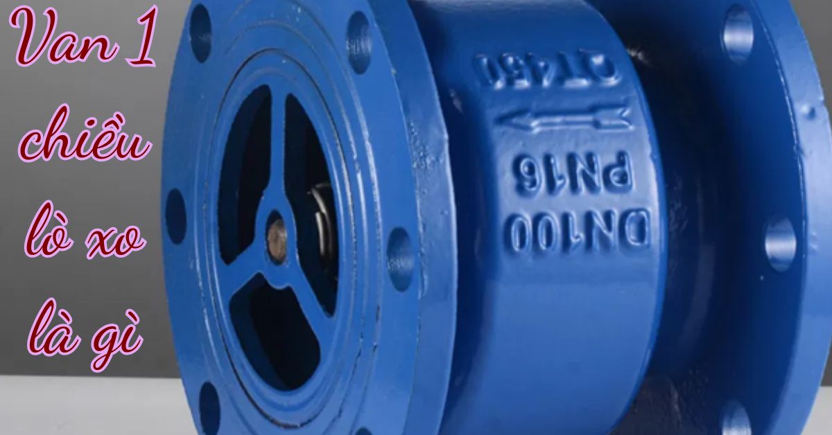 tìm hiểu van 1 chiều lò xo là gì