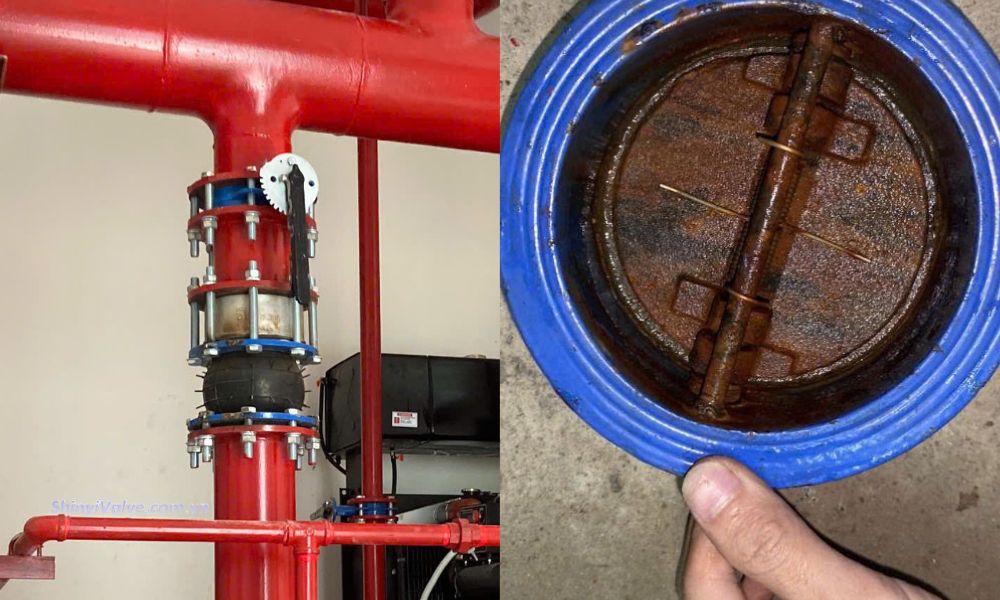 van 1 chiều cánh bướm dn100 gỉ sét