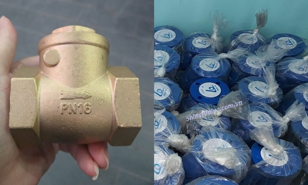 van 1 chiều dn50 hãng shinyi