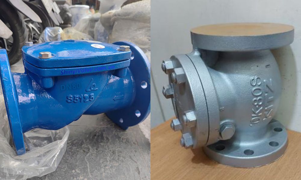 van 1 chiều lá lật dn80 là gì