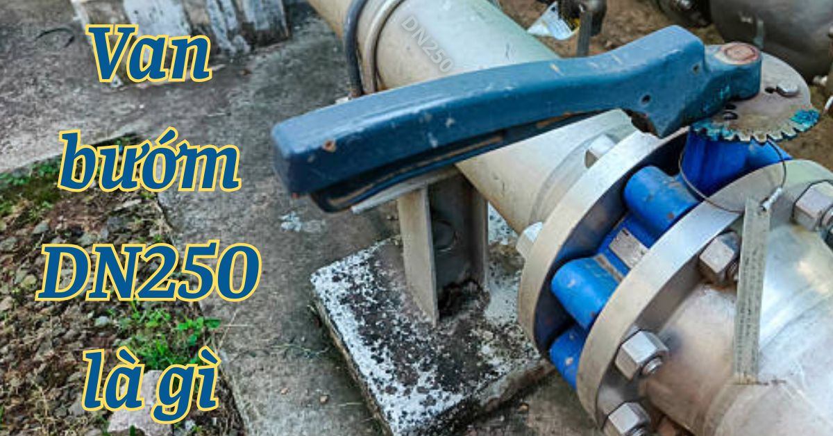 van bướm dn250 là gì